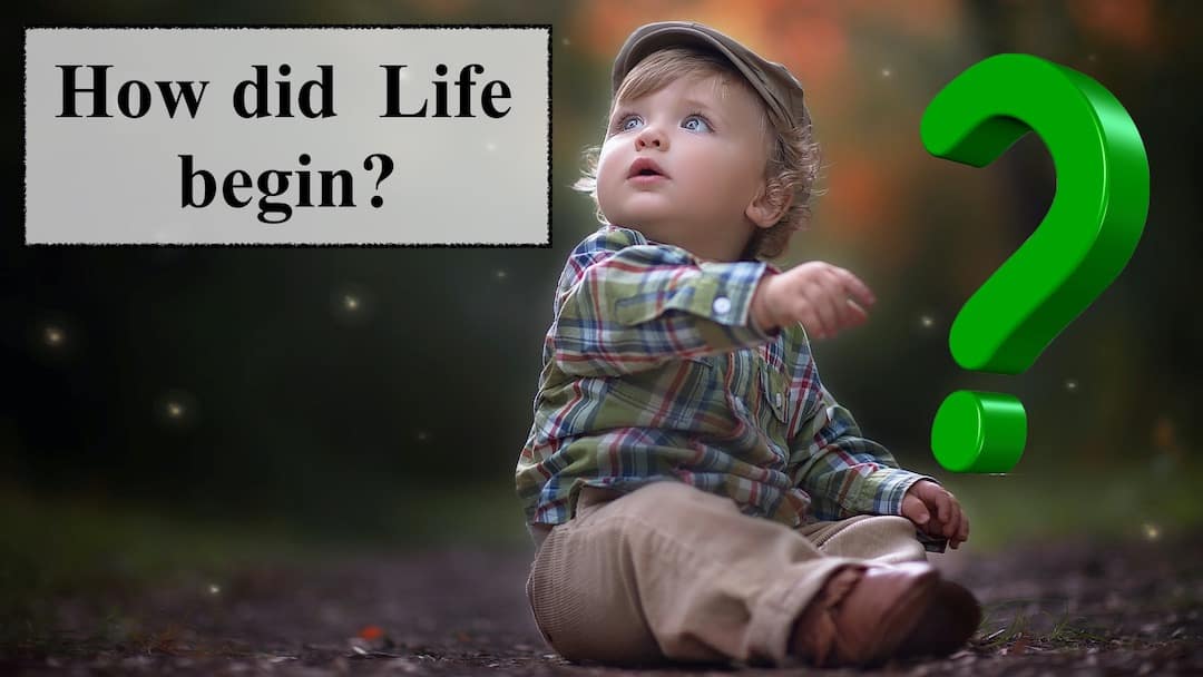How Did Life Begin 